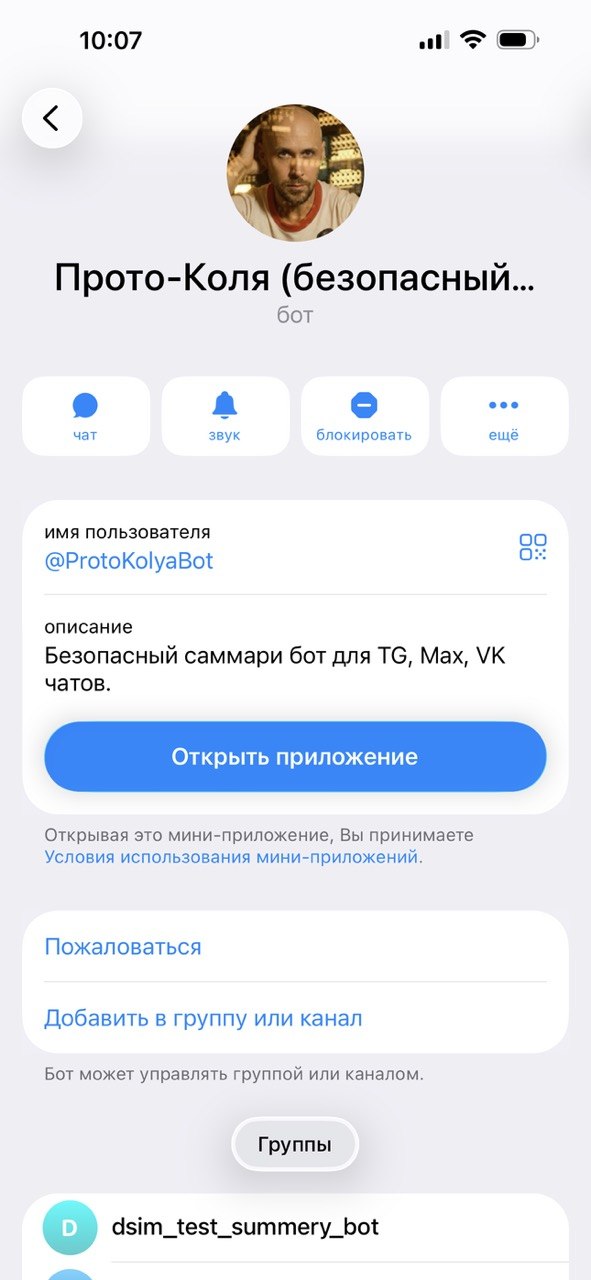 Кнопка Открыть приложение в профиле Прото-Коли